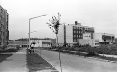 Magyarország, Zalaegerszeg, Puskás Tivadar utca, Középiskolai fiúkollégium., 1968, Építésügyi Dokumentációs és Információs Központ, VÁTI, Fortepan #29109