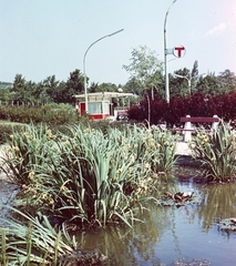 Magyarország, Leányfalu, benzinkút a 11-es út mellett., 1962, Építésügyi Dokumentációs és Információs Központ, VÁTI, színes, benzinkút, Fortepan #29125