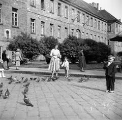 1964, Szerényi Gábor, Fortepan #291298