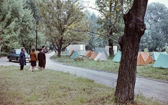 Magyarország, Pap-sziget, Szentendre, kemping., 1962, Építésügyi Dokumentációs és Információs Központ, VÁTI, színes, sátor, kemping, FSO Warszawa, Fortepan #29133