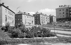 Magyarország, Komló, Kenderföld, Vörösmarty Mihály utca a Kazinczy Ferenc utca felől., 1966, Építésügyi Dokumentációs és Információs Központ, VÁTI, kert, lakótelep, utcakép, virág, lámpaoszlop, szocreál, Fortepan #29146