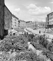 Magyarország, Komló, Kenderföld, Tompa Mihály utca a Zrínyi tér felől., 1966, Építésügyi Dokumentációs és Információs Központ, VÁTI, motorkerékpár, lakótelep, utcakép, életkép, lámpaoszlop, szocreál, Fortepan #29148