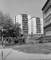 Magyarország, Komló, Városház (Lenin) tér a Pécsi útról nézve., 1966, Építésügyi Dokumentációs és Információs Központ, VÁTI, park, lakótelep, lámpaoszlop, Fortepan #29153