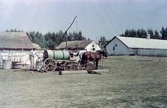 1966, Kovács Gyöngyi, shadoof, water truck, Fortepan #291530