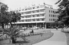 Magyarország, Szeged, Dugonics tér, jobbra a Kárász-utca torkolata., 1964, Építésügyi Dokumentációs és Információs Központ, VÁTI, pálmafa, automobil, sétálóutca, Fortepan #29156