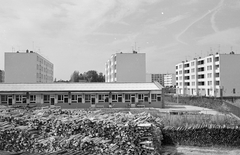 Magyarország, Újszeged, Szeged, Odessza városrész, Fésű utca., 1964, Építésügyi Dokumentációs és Információs Központ, VÁTI, lakótelep, kerítés, farakás, tüzelő, Fortepan #29157