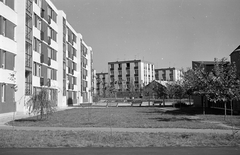 Magyarország, Újszeged, Szeged, Odessza városrész, Fésű utcai épület hátsó homlokzata., 1964, Építésügyi Dokumentációs és Információs Központ, VÁTI, lakótelep, pad, Fortepan #29160