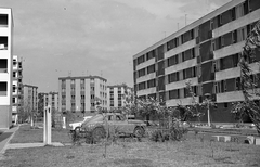 Magyarország, Újszeged, Szeged, Odessza városrész, Fésű utca., 1964, Építésügyi Dokumentációs és Információs Központ, VÁTI, Trabant-márka, lakótelep, lengyel gyártmány, automobil, FSO-márka, FSO Warszawa, Fortepan #29166