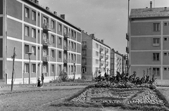 Magyarország, Uránváros, Pécs, Hajnóczy úti házak a Türr István utca felől., 1961, Építésügyi Dokumentációs és Információs Központ, VÁTI, Fortepan #29178