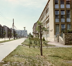 Magyarország, Uránváros, Pécs, Esztergár Lajos utca (39-es dandár út), jobbra a Radnóti Miklós Közgazdasági Szakközépiskola., 1963, Építésügyi Dokumentációs és Információs Központ, VÁTI, színes, Fortepan #29196