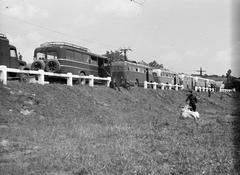 1957, Dusik, relaxation, road railings, spare wheel, cattle, bus, Fortepan #291968