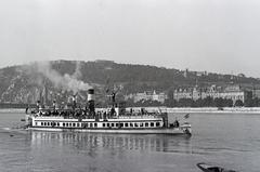 1936, Inkey Tibor, Danube, Fortepan #292406