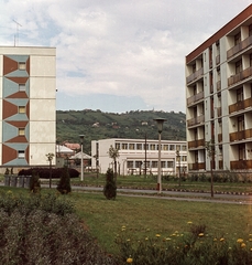 Magyarország, Uránváros, Pécs, Pollack Mihály utca., 1966, Építésügyi Dokumentációs és Információs Központ, VÁTI, színes, Fortepan #29264