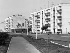 Magyarország, Tiszaújváros, (Tiszaszederkény) Kazinczy út a Tisza úttól az Építők útja felé nézve., 1969, Építésügyi Dokumentációs és Információs Központ, VÁTI, Fortepan #29301