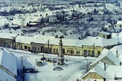 Magyarország, Tolna, kilátás a Nagyboldogasszony-templom tornyából. Előtérben a Szentháromság téren a Szentháromság-szobor., 1960, Kenderessy Tibor, Fortepan #293160