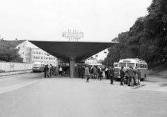 Magyarország, Kaposvár, Újpiac tér, autóbusz-állomás., 1968, Építésügyi Dokumentációs és Információs Központ, VÁTI, autóbusz, magyar gyártmány, Ikarus-márka, MÁVAUT-szervezet, Ikarus 55, Ikarus 31/311, buszpályaudvar, autóbuszállomás, Fortepan #29342