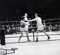 Hungary, a ringben balra Edőcs István, jobbra Juhász Lajos., 1971, Budaházi László, Fortepan #293914