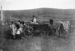 Romania,Transylvania, Sebiș, 1930, Szávoszt-Vass Dániel, village, horse, chariot, genre painting, chimney, folk costume, fair, archaic mantle, Fortepan #29409