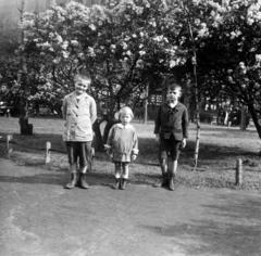 1918, Urbánné dr. Lux Judit, three people, shorts, kids, photo aspect ratio: square, Fortepan #294671