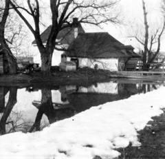 1918, Urbánné dr. Lux Judit, farmhouse, photo aspect ratio: square, Fortepan #294762