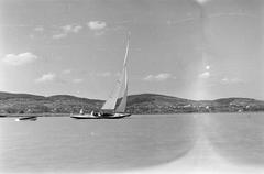 1959, Szilágyi Lajosné, Fortepan #294825