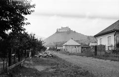 1959, Szilágyi Lajosné, Fortepan #294833