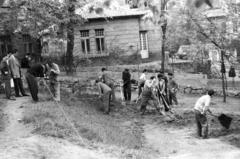 1959, Török Kálmán, Fortepan #294969