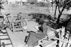 1957, Török Kálmán, kerékpár, Fortepan #294975