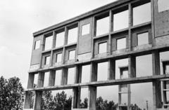 1957, Török Kálmán, Fortepan #294986