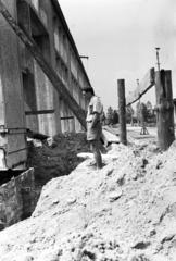 1957, Török Kálmán, Fortepan #294989
