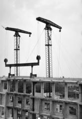 1957, Török Kálmán, Fortepan #294991