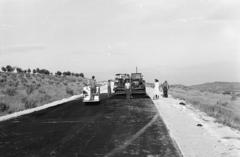 1960, Török Kálmán, Fortepan #295059