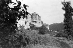 1960, Török Kálmán, Fortepan #295156