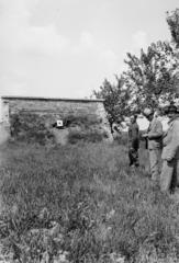 1939, Török Kálmán, Fortepan #295810