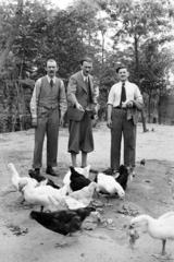 1939, Török Kálmán, Fortepan #295816