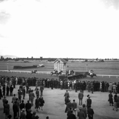 Hungary, Budapest IV., Káposztásmegyeri lóversenypálya., 1938, Kölcsey Ferenc Dunakeszi Városi Könyvtár / Petanovits fényképek, genre painting, pitch, horse race, Budapest, Fortepan #29603