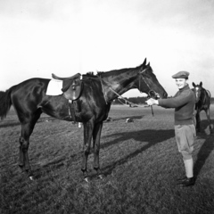 Magyarország, Alag,Dunakeszi, tréningtelep., 1938, Kölcsey Ferenc Dunakeszi Városi Könyvtár / Petanovits fényképek, ló, zsoké, lószerszám, Fortepan #29619