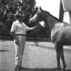 Magyarország, Alag, Dunakeszi, tréningtelep, Petanovits József szállodatulajdonos lovával., 1938, Kölcsey Ferenc Dunakeszi Városi Könyvtár / Petanovits fényképek, ló, Fortepan #29624