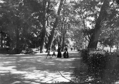 Romania,Transylvania, Cluj-Napoca, Sétatér (Parcul Central)., 1909, Cholnoky Tamás, walk, Fortepan #29743