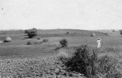 1930, Cholnoky Tamás, field, picture, woman, stack, Fortepan #29838