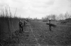 Magyarország, 1962, Németh Tamás, Fortepan #29901