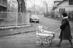 1973, Bara Péter, Fortepan #300007