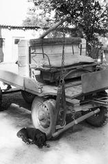 1972, Illés Zoltán, Fortepan #300202