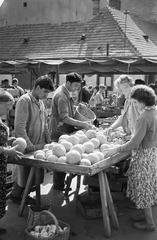 1961, Illés Zoltán, Fortepan #300219