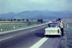 1963, Inkey Tibor, rendszám, Trabant 601, Fortepan #300318
