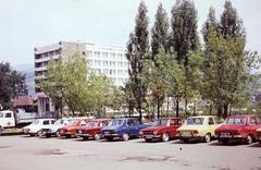 1975, Mnyenczán Tamás, Fortepan #300477