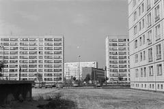 1977, Rékai Zsolt, Fortepan #300598