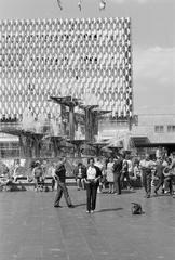 1974, Rékai Zsolt, Fortepan #300609