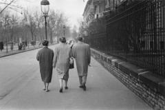 1957, Szalay János, Fortepan #300779
