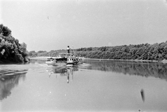 Magyarország, Ercsi lapátkerekes gőzhajó a Tiszán., 1954, Németh Tamás, hajó, gőzhajó, lapátkerekes hajó, Ercsi/MÁV I. hajó, Fortepan #30079